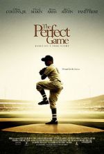 Watch The Perfect Game Niter