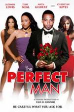 Watch The Perfect Man Niter
