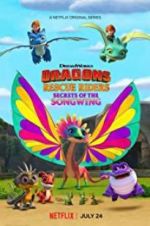 Watch Dragons: Rescue Riders: Secrets of the Songwing Niter