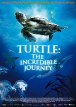 Watch Turtle: The Incredible Journey Niter