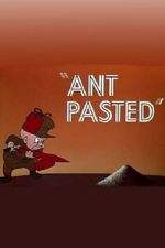 Watch Ant Pasted Niter