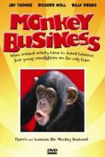 Watch Monkey Business Niter