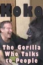 Watch Koko: The Gorilla Who Talks to People Niter