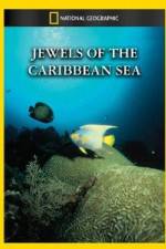 Watch National Geographic Jewels of the Caribbean Sea Niter