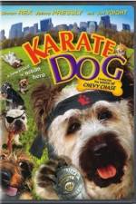 Watch The Karate Dog Niter