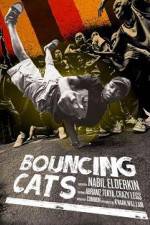 Watch Bouncing Cats Niter
