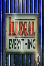 Watch Illegal Everything 2012 Niter