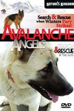 Watch Avalanche Angels Niter