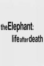 Watch The Elephant - Life After Death Niter