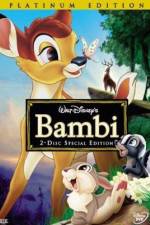 Watch Bambi Niter