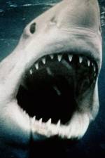 Watch Sharkmania: The Top 15 Biggest Baddest Bloodiest Bites Niter
