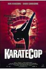 Watch Karate Cop Niter