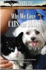 Watch Why We Love Cats And Dogs Niter