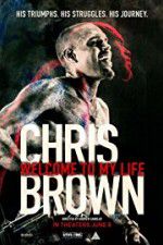 Watch Chris Brown Welcome to My Life Niter