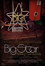 Watch Big Star: Nothing Can Hurt Me Niter