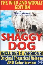Watch The Shaggy Dog Niter