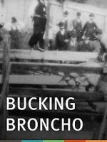 Watch Bucking Broncho Niter