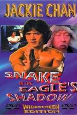 Watch Bruce Vs. Snake In Eagle's Shadow Niter