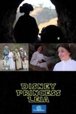 Watch Disney Princess Leia Part of Hans World Niter