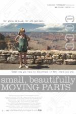 Watch Small Beautifully Moving Parts Niter