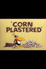Watch Corn Plastered (Short 1951) Niter