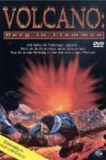 Watch Volcano: Fire on the Mountain Niter