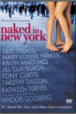Watch Naked in New York Niter