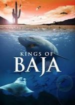 Watch Kings of Baja Niter