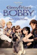 Watch Greyfriars Bobby The True Story of a Dog Niter