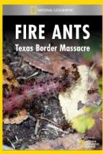 Watch National Geographic Fire Ants: Texas Border Massacre Niter