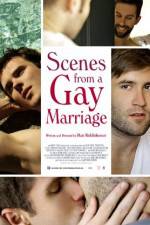 Watch Scenes from a Gay Marriage Niter