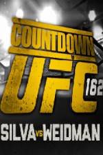 Watch Countdown To UFC 162 Niter