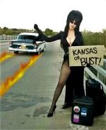 Watch The Elvira Show Niter