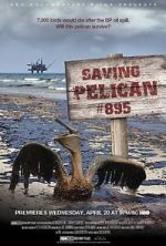 Watch Saving Pelican 895 (Short 2011) Niter