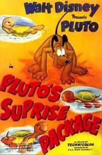 Watch Pluto\'s Surprise Package Niter