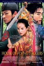 Watch House of Flying Daggers Niter