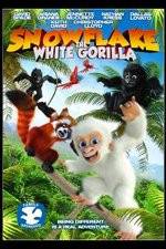 Watch Snowflake, the White Gorilla Niter