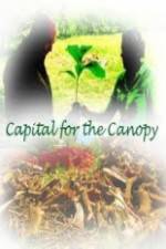 Watch Capital for the Canopy Niter