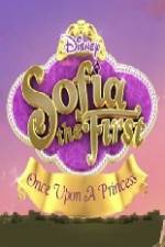 Watch Sofia the First Once Upon a Princess Niter