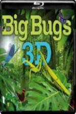 Watch Big Bugs in 3D Niter