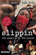 Watch Slippin' Ten Years with the Bloods Niter