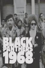 Watch Black Panthers Niter