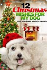 Watch 12 Christmas Wishes For My Dog Niter