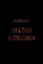 Watch The Other Pompeii Life & Death in Herculaneum Niter