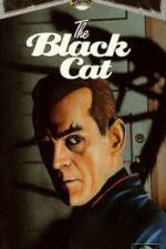 Watch The Black Cat Niter