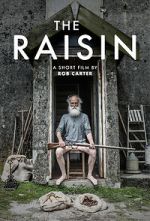 Watch The Raisin (Short 2017) Niter