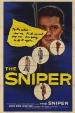 Watch The Sniper Niter
