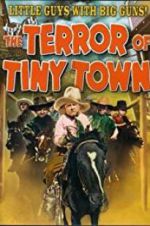 Watch The Terror of Tiny Town Niter