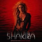Watch Shakira: Whenever, Wherever Niter