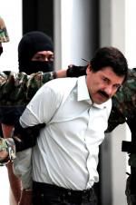 Watch The Rise and Fall of El Chapo Niter